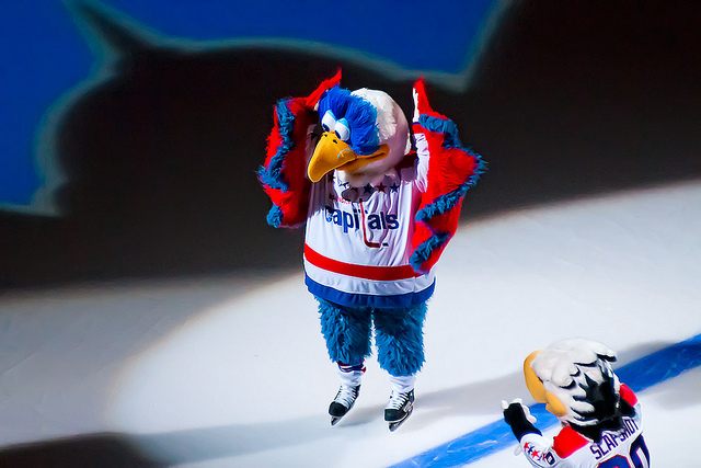 WASHINGTON, DC - February 1, 2011:  Former Washington Capitals mascot Winger makes an appearance before the Washington Capitals "Turn Back The Clock Night" honoring former Capital Dino Ciccarelli against the Montreal Canadiens at Verizon Center.